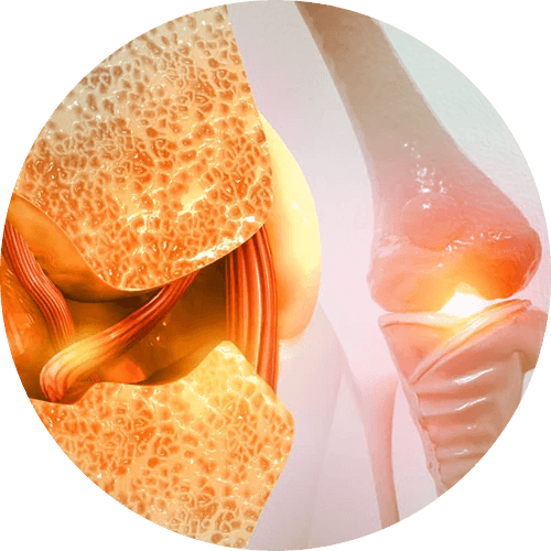 Acción antioxidante