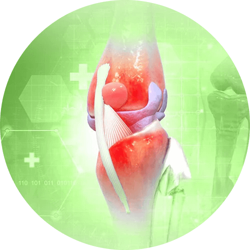 Acción antiinflamatoria