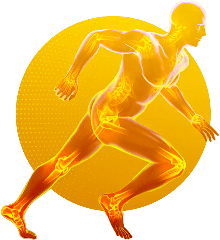 Regemax articulaciones